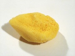 Accel Hygan Natural Sponges